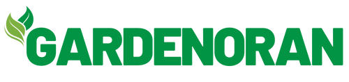 My Store